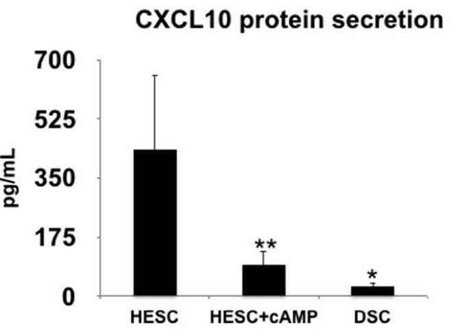 Quantification of CXCL10 protein expression.jpg